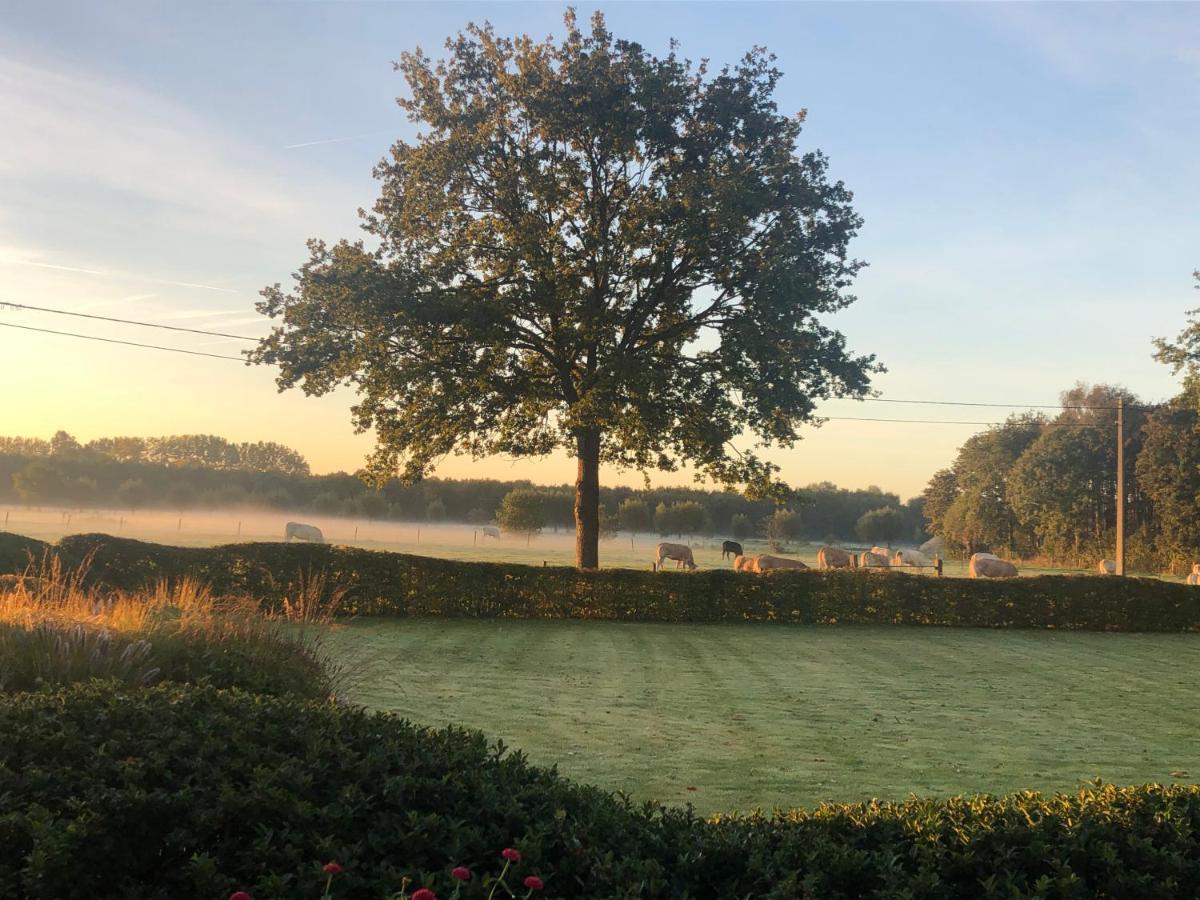Hoeve Den Akker - Luxueuze Vakantiewoningen Met Privetuinen En Alpaca'S Nabij Brugge, Damme, Knokke, Sluis En Cadzand Экстерьер фото