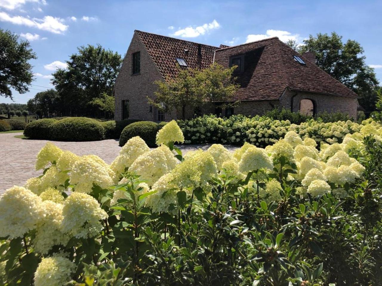 Hoeve Den Akker - Luxueuze Vakantiewoningen Met Privetuinen En Alpaca'S Nabij Brugge, Damme, Knokke, Sluis En Cadzand Экстерьер фото