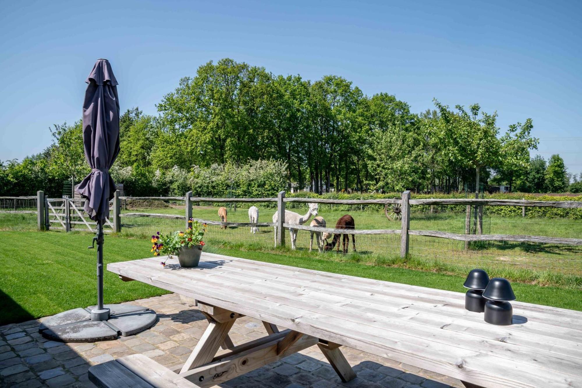 Hoeve Den Akker - Luxueuze Vakantiewoningen Met Privetuinen En Alpaca'S Nabij Brugge, Damme, Knokke, Sluis En Cadzand Экстерьер фото